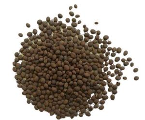 Red Balasam Seeds 10 Per Packet
