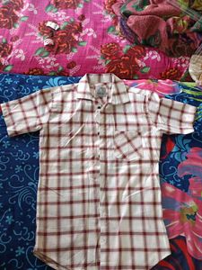 A Half Sleeve Shirt