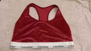 Corduroy Velvet Sport Bra..38 To 40..1X