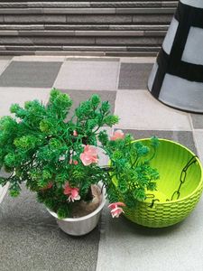 Flower Pot 🪴 Nd Also Flowe