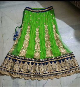 Elegant Lehenga Choli Set
