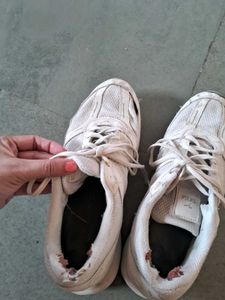 Shoess