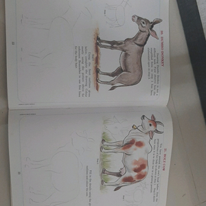 NAVNEET and DISNEY  drawing and coloring bookse