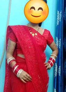 Red Net Saree