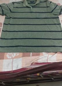 Striped Polo Shirt
