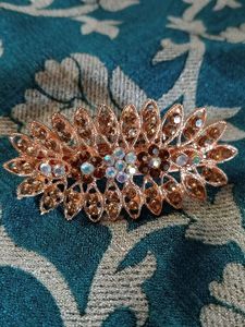 Hair Clip