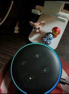 Amazon Echo Dot and Wall Holder (2 items)