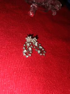 Elegant Dangle Earrings