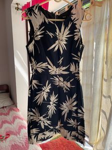 Oasis Back Zip Dress