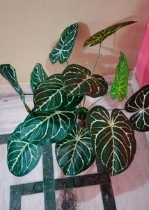 Beautiful Artificial Trees For Outdoor And Indoor