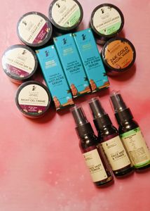 Combo Of 12 Pilgrim Product