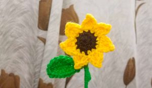 Crochet 🌻 Fridge Magnet 🧲