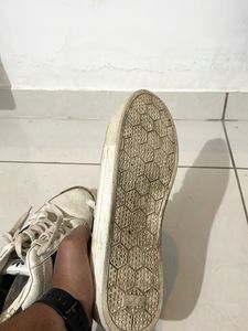 Sneakers Adidas First Copy Shoes!! 👟