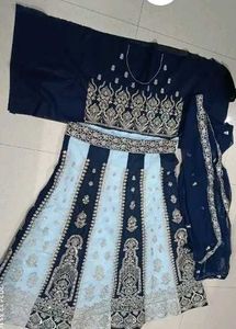 Embroidered Lehenga Choli