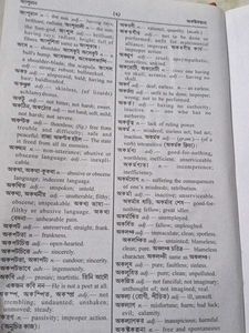 Dictionary