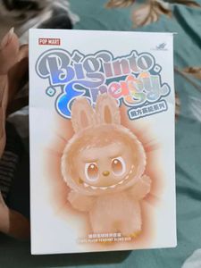 Secret Labubu Toy