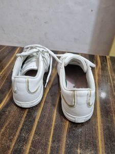 locoste shoesImported n original pairs