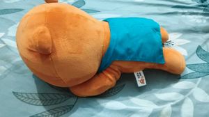 Cute Orange Bear Plush