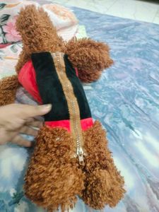 Pepsi Teddy Bear Plush