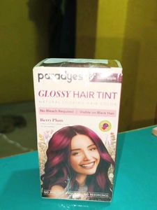 Paradyes Berry Plum Hair Color