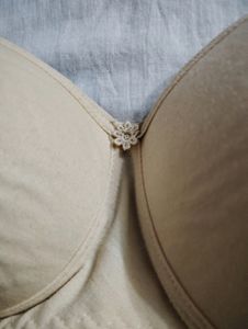 Combo Padded Bra For Women