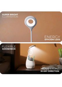Multifunctional Desk Lamp