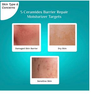 Pilgrim Barrier Repair Moisturizer Korean Cica