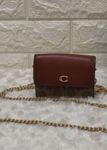 Coach Wallet on Chain