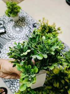 8 Artificial Set of Plants