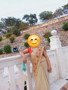 Elegant Border Saree 🔥✨️
