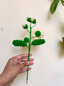 Crochet Daisy Flower
