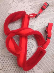 Harness for a big dog