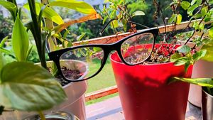 Ray-Ban Goggles