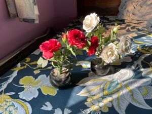 Set of 2 artificial rose plants - Red and White