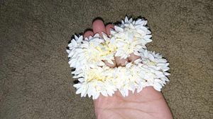 Scented Hair Accessory (Artificial Gajra)