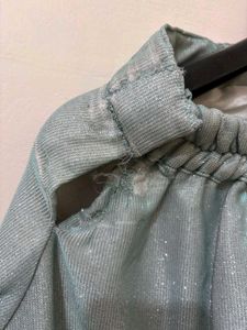 Elegant Shimmer Lehnga With Chikankari Blouse