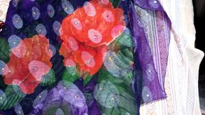 Assorted Sarees - Elegant Collection