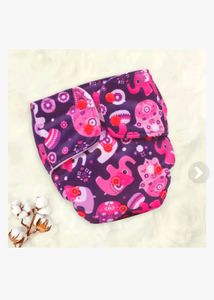 Cloth Diaper & Insert Pad (3m- 3y)