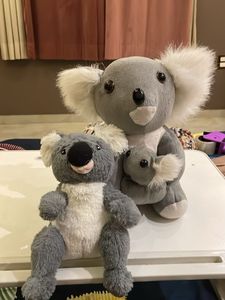 Koala Plush Set