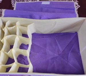 Divided Storage organizer Box