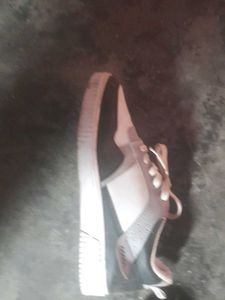 Stylish Grey &amp; White Sneakers