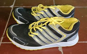 New Stylish Casual Shoes For Men Combo (Pack Of 2), (Size 8)
