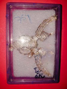 Elegant Jewelry Set