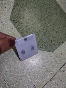 Sparkling Stud Earrings