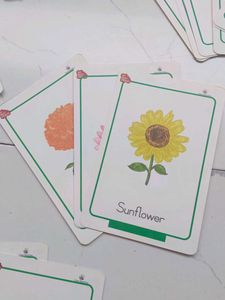Flash Cards