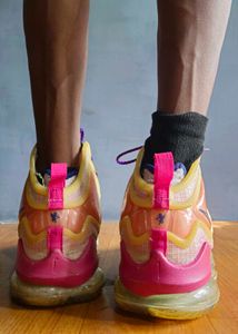 Nike Jordan LeBron 19