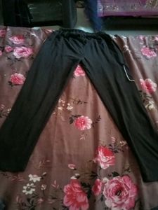 Pant