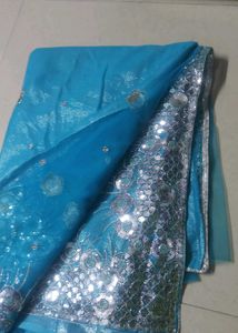 Glittering Net Saree