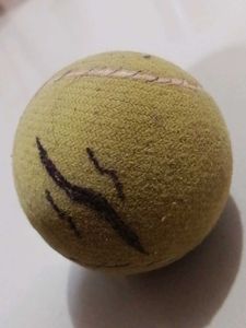 Used Tennis Ball 🇧🇷