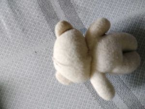 Tedy Bear Small Size